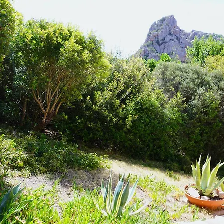 Roccette Mareblu Con Jacuzzi Costa Paradiso